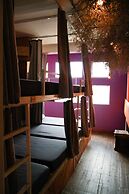 Gaia Hostel