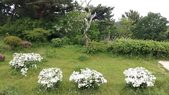Dalbit Maru Pension