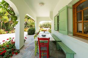 Athena Villas Olive Grove & Estate