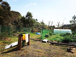 Rulo Classic Garden