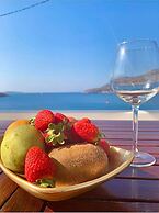 Aegean Muses Villas