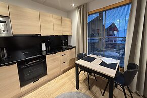 Levi Suites Levi Gold