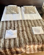 Levi Suites Levi Gold