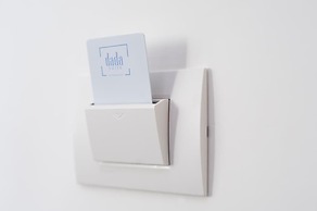 Dada Suite
