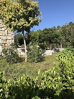 Propriedade do Pires