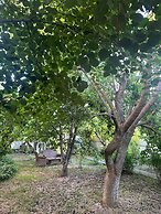 Karaagac Green