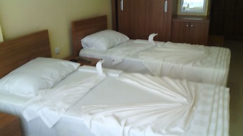 Graywolf Hotel