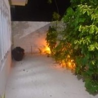 Veli Thoddoo Inn