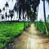 Veli Thoddoo Inn