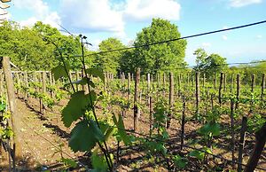 Chateau Chikovani