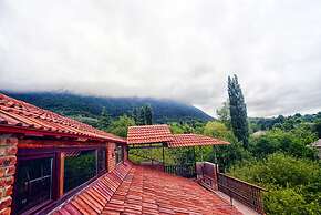 Chateau Chikovani