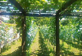Chateau Chikovani