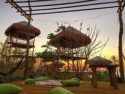 Birdland Beach Club