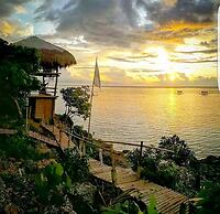 Birdland Beach Club