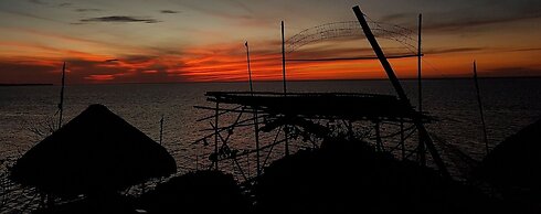 Birdland Beach Club