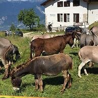 Malga Zanga