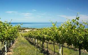 McLaren Vale Backpackers