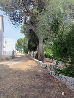Masseria Belvedere