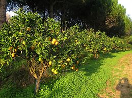 Quinta Raposeiros