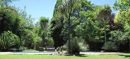 The Pecan Tree
