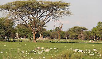 Fiume Lodge CC, P O Box 20757, Windhoek