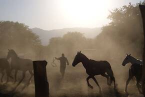La Vaca Tranquila