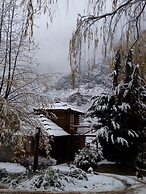 Mendoza Sol y Nieve