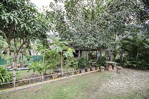 Banana Lodge