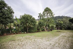 Banana Lodge