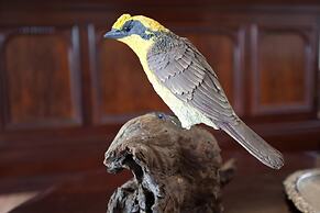 Honeyeater Cottage
