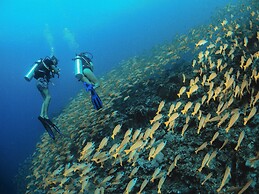 Bliss Dhigurah