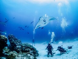 Bliss Dhigurah