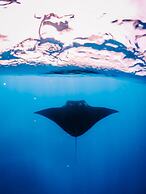 Bliss Dhigurah
