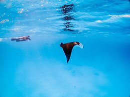 Bliss Dhigurah