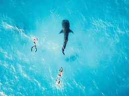 Bliss Dhigurah
