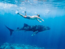 Bliss Dhigurah