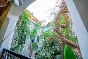 Riad Tibibt
