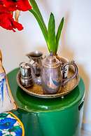 Riad Tibibt