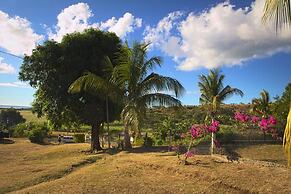The Beehive Fiji