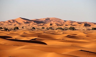 Ksar Bicha
