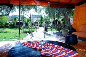 Chez Laila