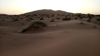 Night Desert Camp