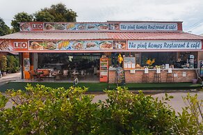 The Pink Homes