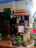 Orchid House