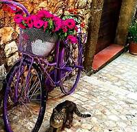 Il Borgo Antico