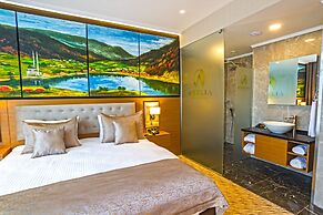 Aselia Hotel Trabzon