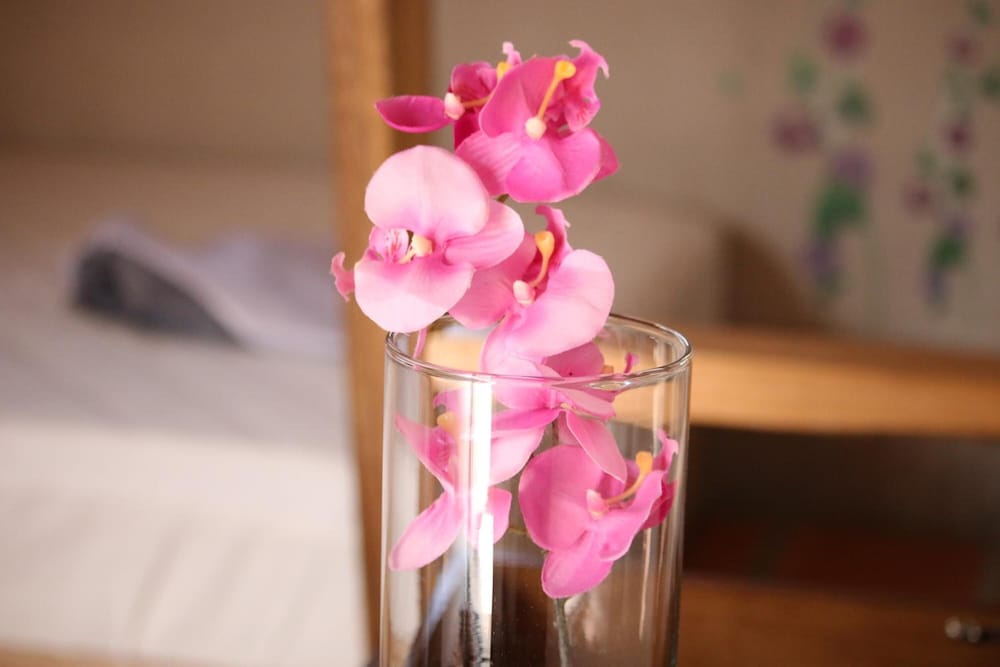 O Share Sweet B&B