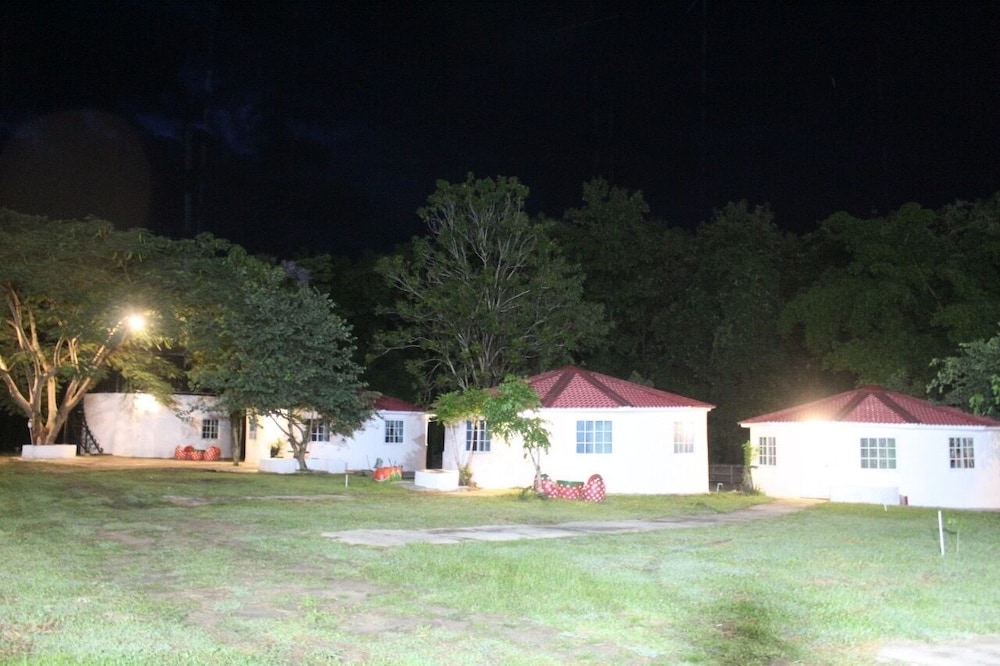 Demy Home