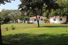 Demy Home