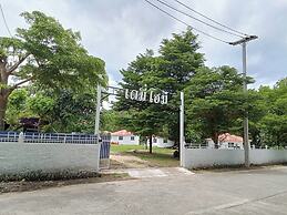Demy Home